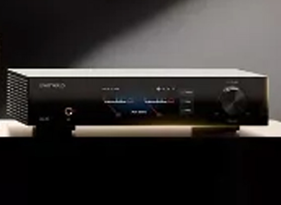 EverSolo DAC-R8 - cecha 3