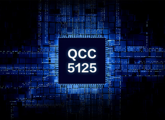 EverSolo DAC-Z8 - cecha 3