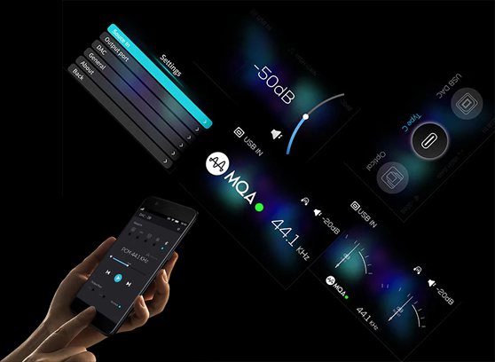 EverSolo DAC-Z8 - cecha 4