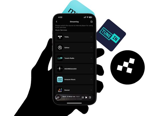 EverSolo DMP-A10 - cecha 3