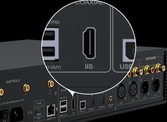 EverSolo DMP-A8 - cecha 3