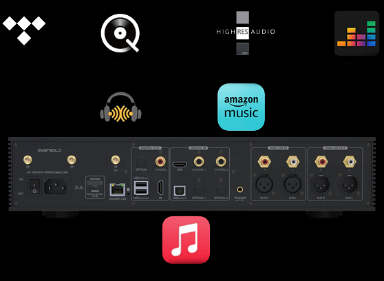 EverSolo DMP-A8 - cecha 6