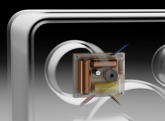 EverSolo SE100 - cecha 3