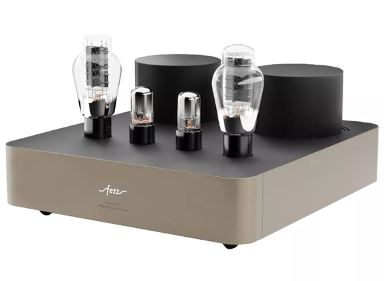 Fezz Mira Ceti Mono Power Amplifier - cecha 3