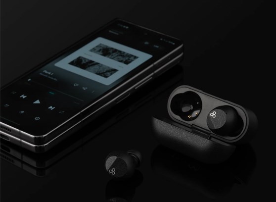 Final Audio ZE3000 SV - cecha 4