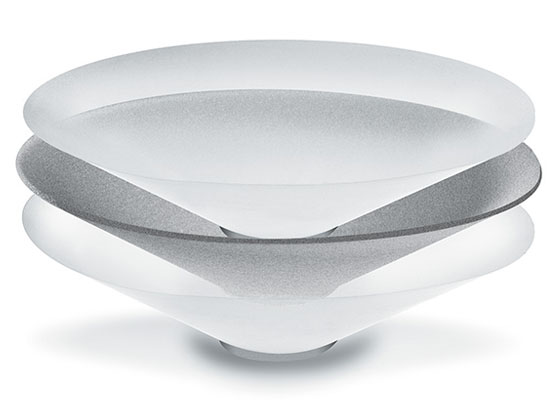 Focal 1000 ICW6 - cecha 1