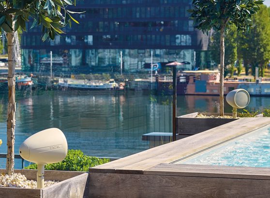 Focal OD 4.1 - cecha 1