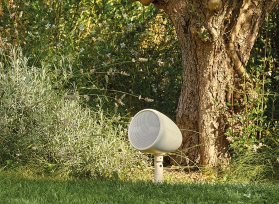 Focal OD 4.1 - cecha 2