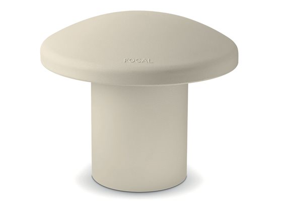 Focal OD 4.1 - cecha 5