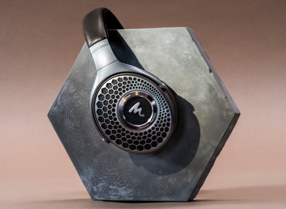 Focal Hadenys - cecha 2