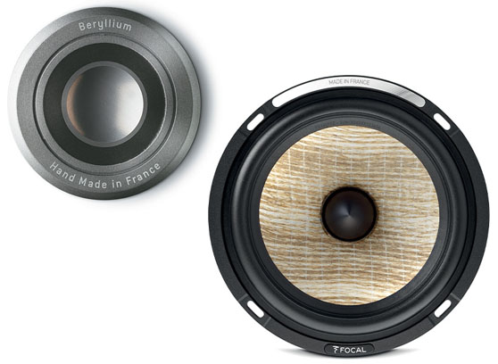 Focal Kanta N°1 - cecha 1