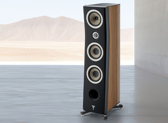 Focal Kanta N°2 - cecha 3
