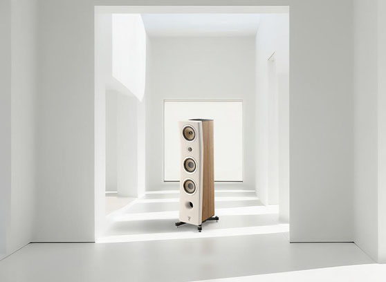 Focal Kanta N°2 - cecha 4