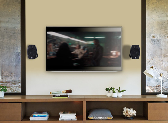 Focal Sib Evo 2.0 - cecha 1