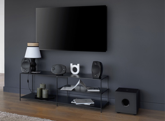 Focal Sib Evo 2.0 - cecha 4