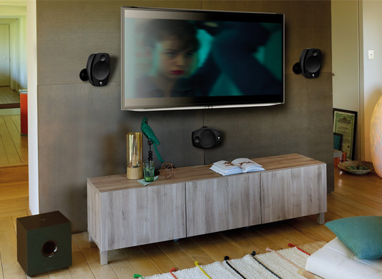 Focal Sib Evo 5.1 - cecha 2