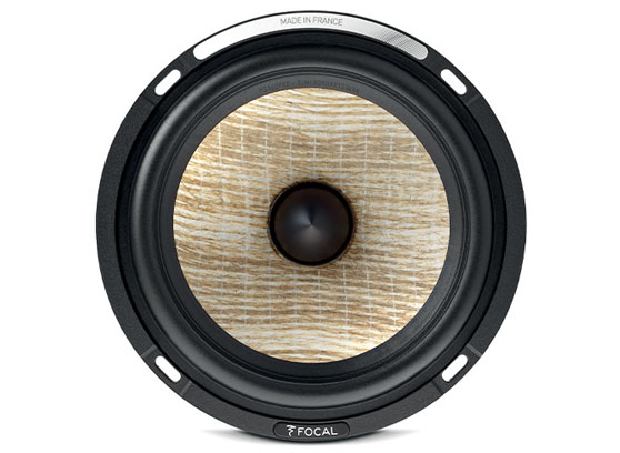 Focal Sub 1000F - cecha 1