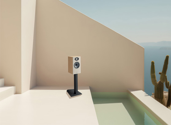 Focal Theva N°1 - cecha 2