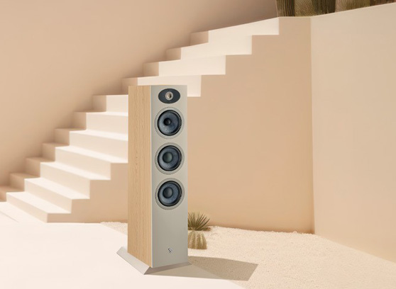 Focal Theva N°2 - cecha 2