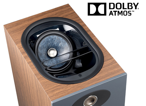 Focal Theva N°3-D - cecha 1