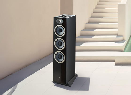 Focal Theva N°3-D - cecha 4