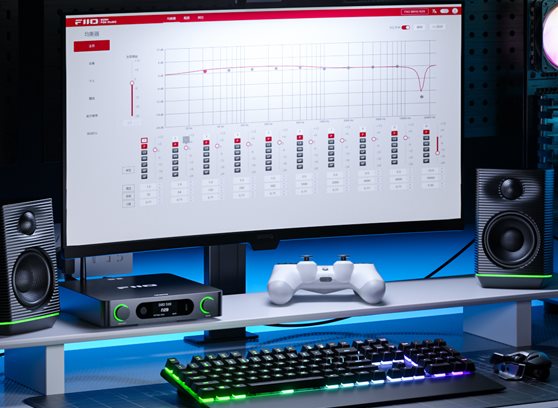 FiiO BR15 R2R - cecha 4