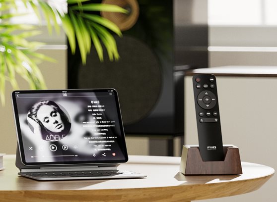 FiiO BR15 R2R - cecha 5