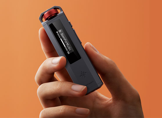 FiiO SnowSky ECHO NANO - cecha 4