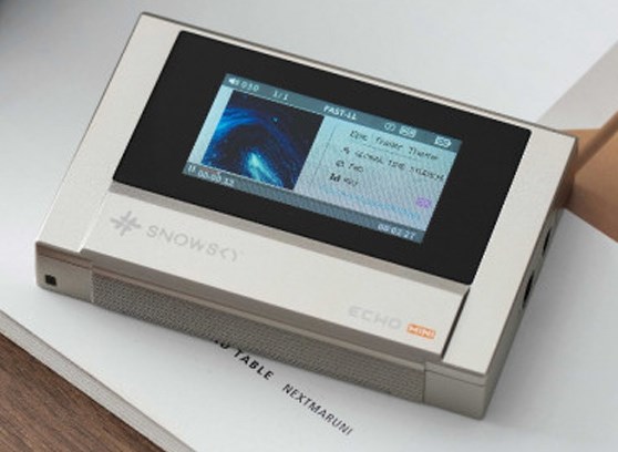 FiiO Snowsky Echo Mini Titanium Limited Edition - cecha 1