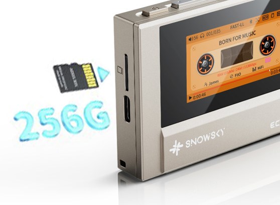 FiiO Snowsky Echo Mini Titanium Limited Edition - cecha 4