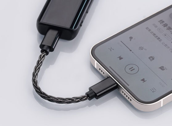 FiiO LT-LT2 - cecha 1