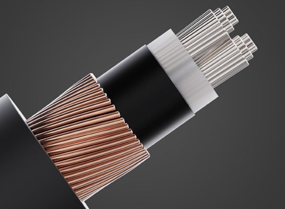 FiiO LX-XLR4L - cecha 3