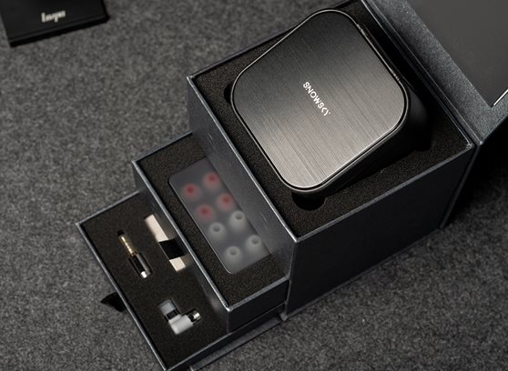 FiiO Snowsky OAK NANO - cecha 6