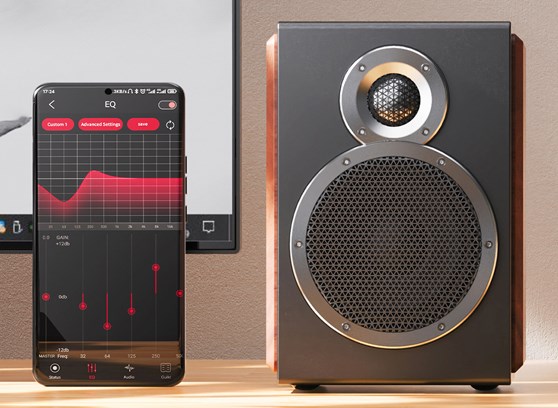 FiiO SA1 - cecha 3