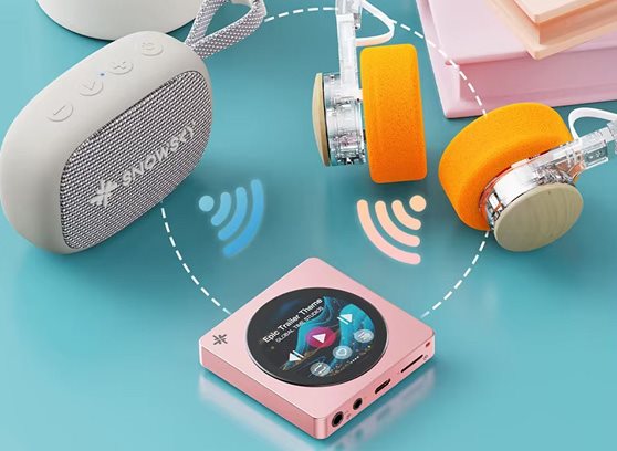 FiiO Snowsky Disc - cecha 4