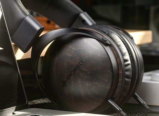 FiiO Snowsky Nature - cecha 4