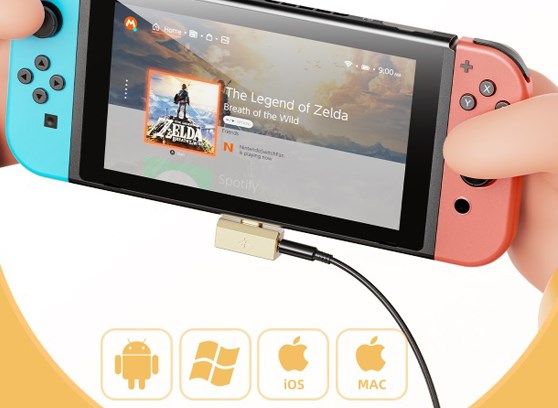 FiiO Snowsky Tiny B - cecha 4