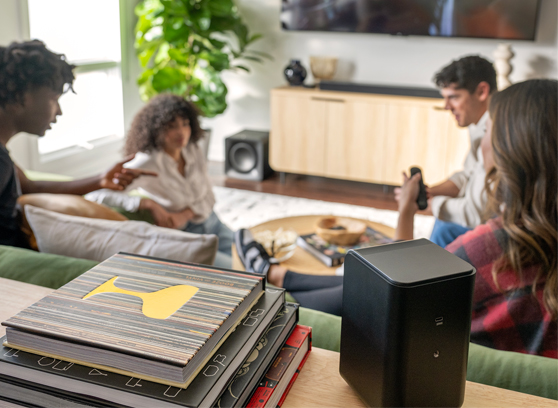 Klipsch Flexus SURR 100 - cecha 2