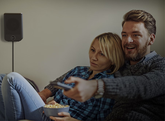 Klipsch Flexus SURR 100 - cecha 3