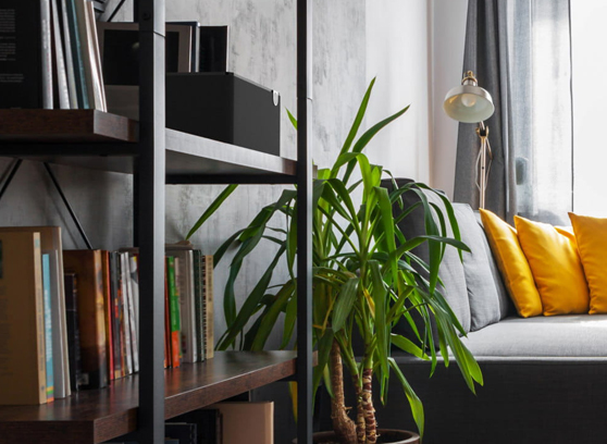 Klipsch The Three Plus - cecha 3