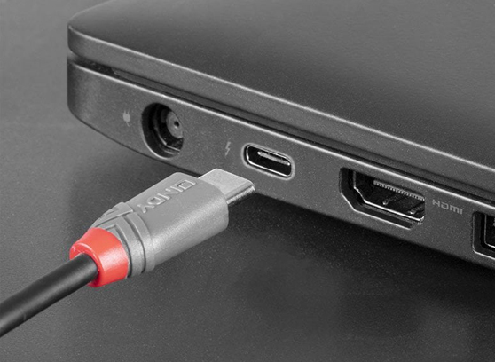 Lindy Anthra Line 3694x - cecha 1