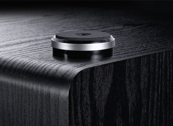 Magnat Alpha RS 12 - cecha 2