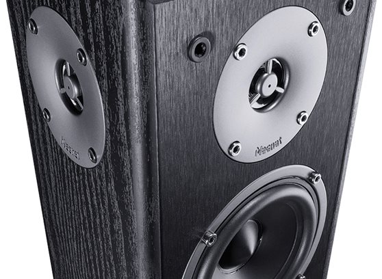 Magnat Monitor S10 D - cecha 1