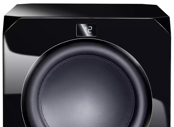 Magnat Omega CS 12 - cecha 2