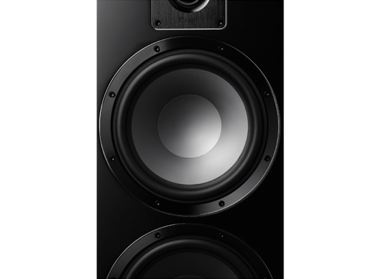 Magnat Signature 999 - cecha 2