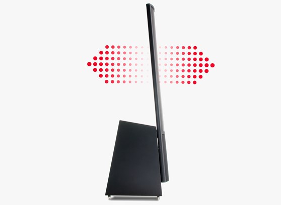 MartinLogan ElectroMotion ESL - cecha 2