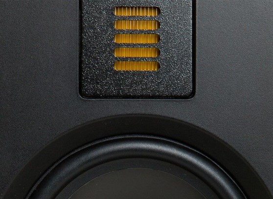 MartinLogan ElectroMotion IW - cecha 1