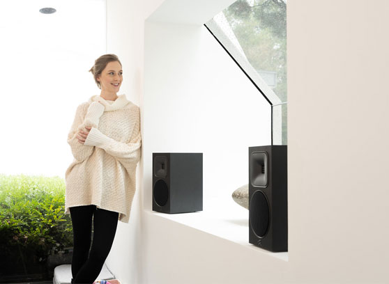 MartinLogan Foundation B1 - cecha 2