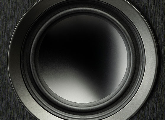 MartinLogan Foundation B1 - cecha 3