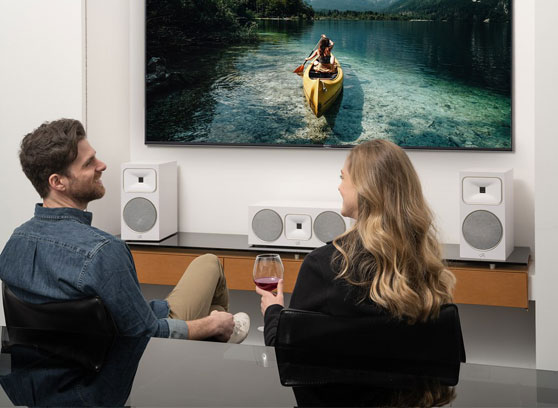 MartinLogan Foundation B2 - cecha 2